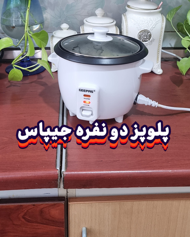 پلوپز و بخارپز جیپاس دو نفره مدلGRC4324N